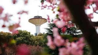 玩球网直播nba官方网站入口说明」整